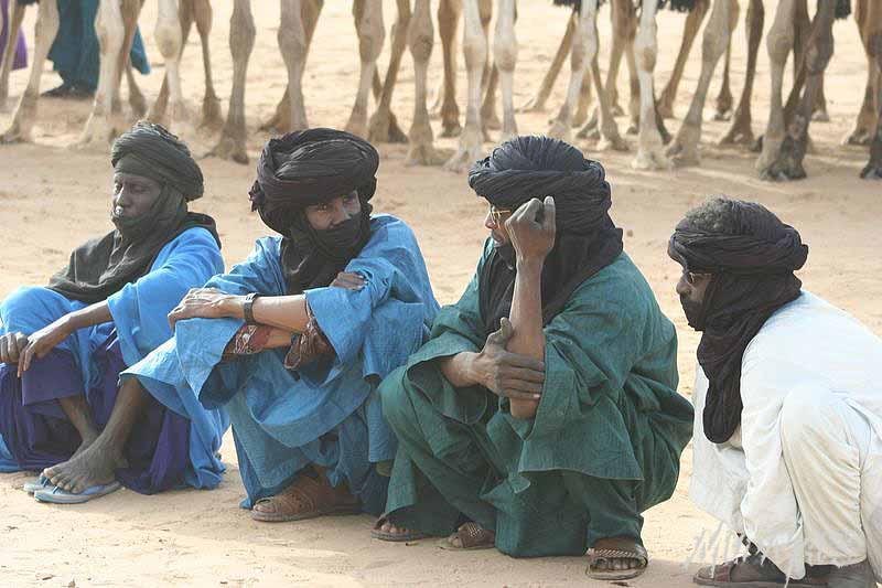 Mud Maps Africa Gaddafi camel party 3403